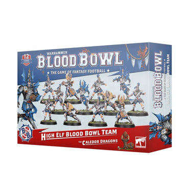 Blood Bowl - High Elf Blood Bowl Team