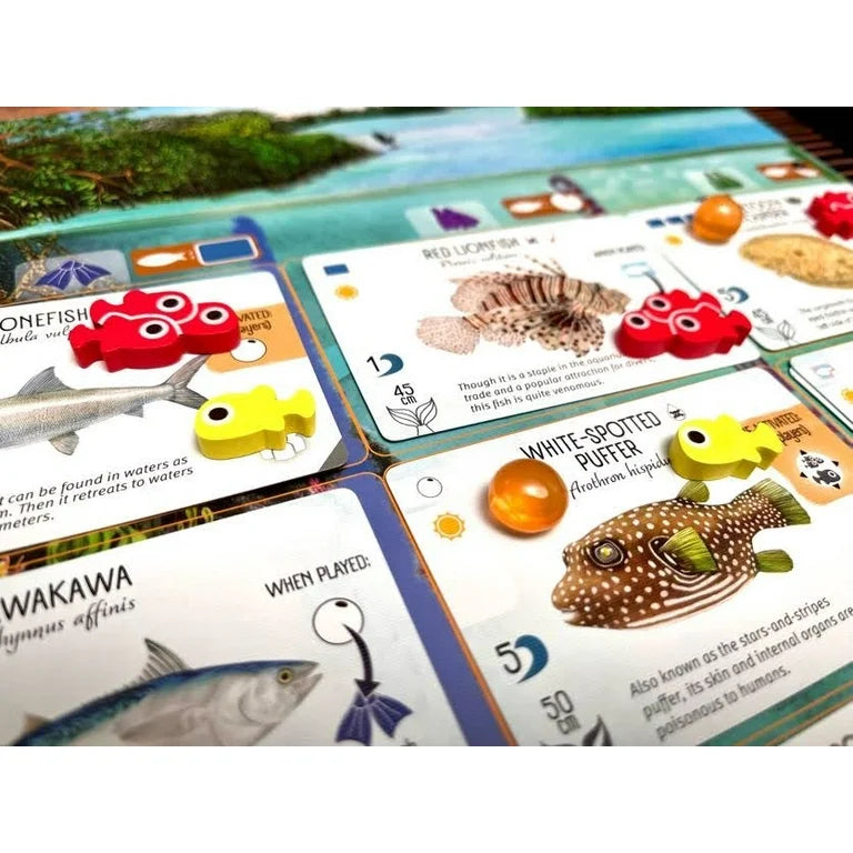 Finspan: Upgrade Pack