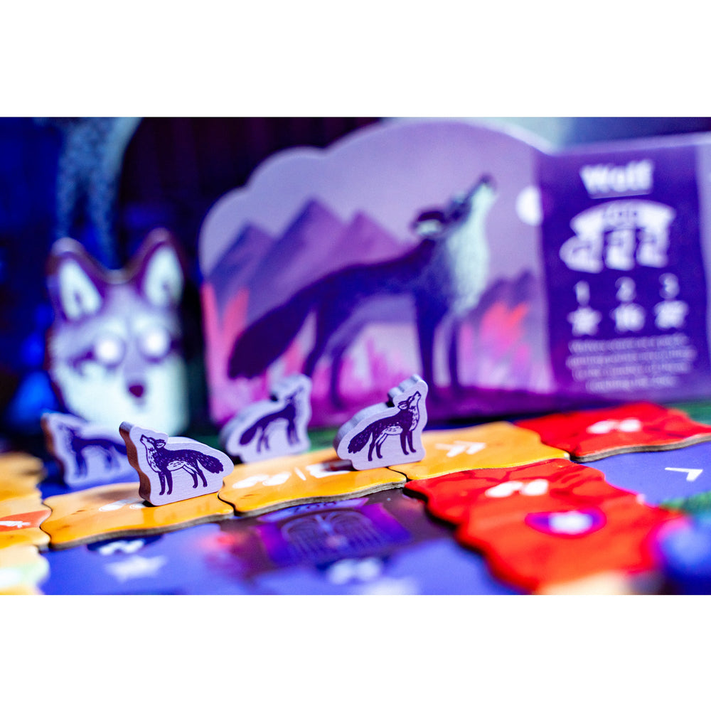 Night at the Zoo