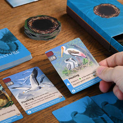 Nature Module 1 - Flight