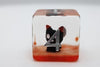Foam Brain Games: Baby Fiend - Dice Set