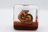 Foam Brain Games: Dino Fossil - Dice Set