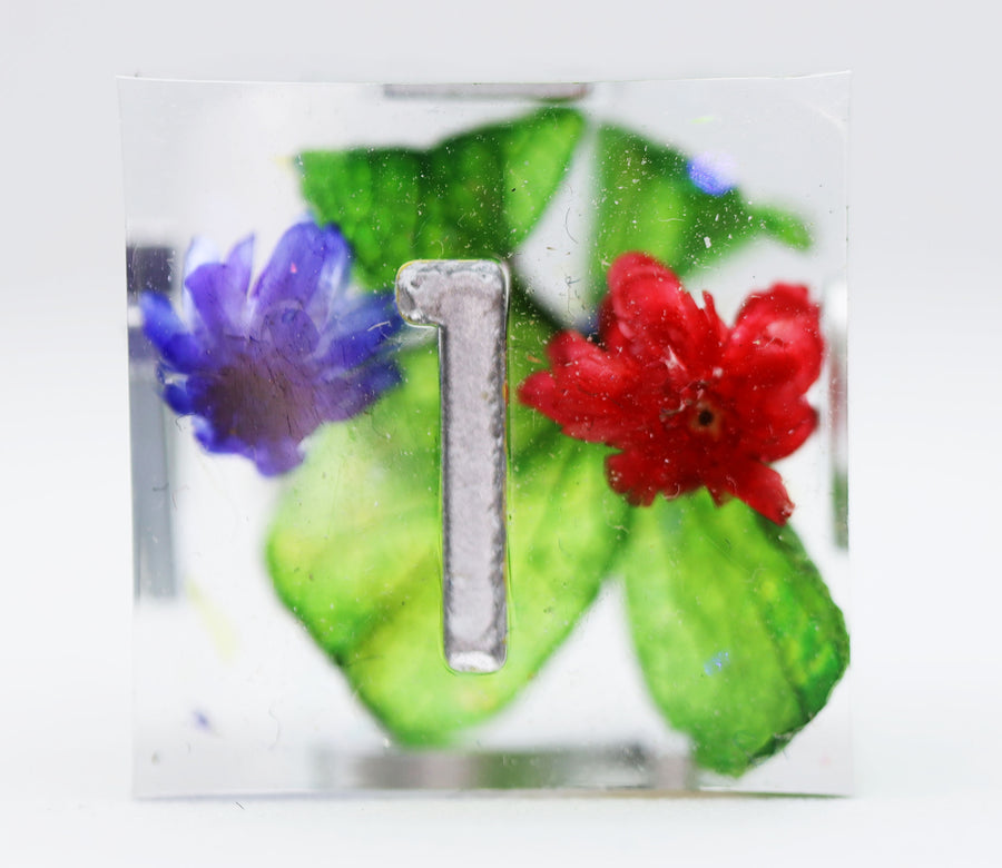 Foam Brain Games: Sharp Edge - Harmonious Buds