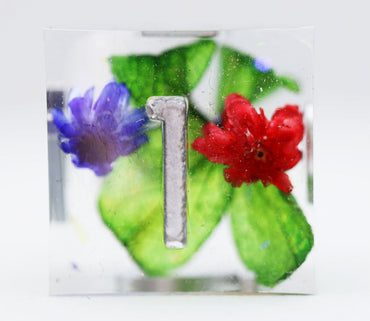 Foam Brain Games: Sharp Edge - Harmonious Buds