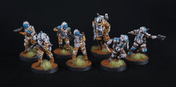 BLKOUT: UN Strikeforce Expansion