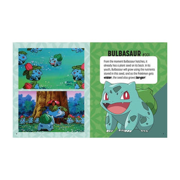 Pokémon: Trainer's Mini Exploration Guide to Kanto