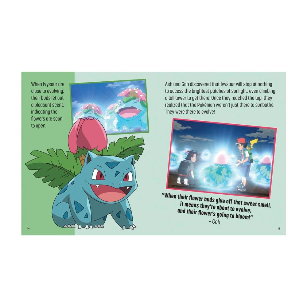 Pokémon: Trainer's Mini Exploration Guide to Kanto