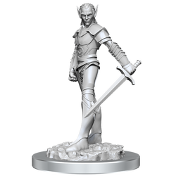 D&D Nolzur's Marvelous Miniatures: Drow Fighters