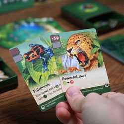 Nature: Module 5 - Amazon Rainforest