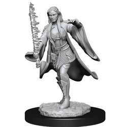 D&D Nolzur's Marvelous Miniatures: Warlock/Sorcerer (Wave 13)