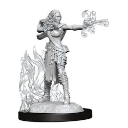 D&D Nolzur's Marvelous Miniatures: Warlock/Sorcerer (Wave 13)