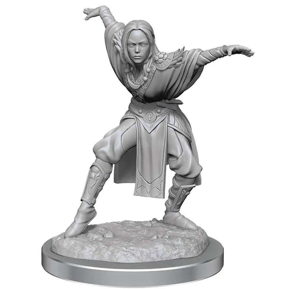 Pathfinder: Deep Cuts Unpainted Miniatures - Female Half-Elf Monks