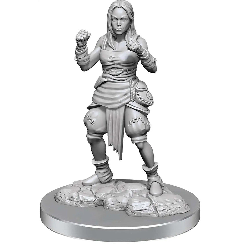 Pathfinder: Deep Cuts Unpainted Miniatures - Female Half-Elf Monks