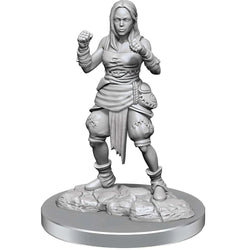 Pathfinder: Deep Cuts Unpainted Miniatures - Female Half-Elf Monks