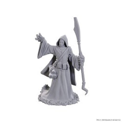 D&D Nolzur's Marvelous Miniatures: Star Spawn Larva Mage