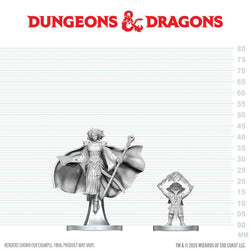D&D Nolzur's Marvelous Miniatures: Gnome Warlock & Aasimar Wizard