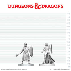 D&D Nolzur's Marvelous Miniatures: Black Gauntlet & Zhentilar Paladin of Bane