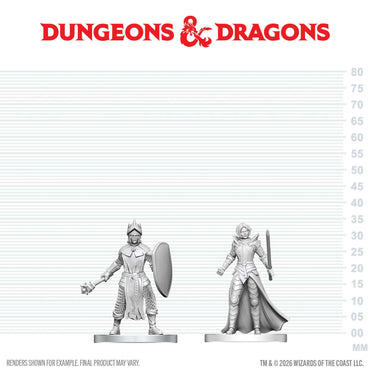 D&D Nolzur's Marvelous Miniatures: Black Gauntlet & Zhentilar Paladin of Bane