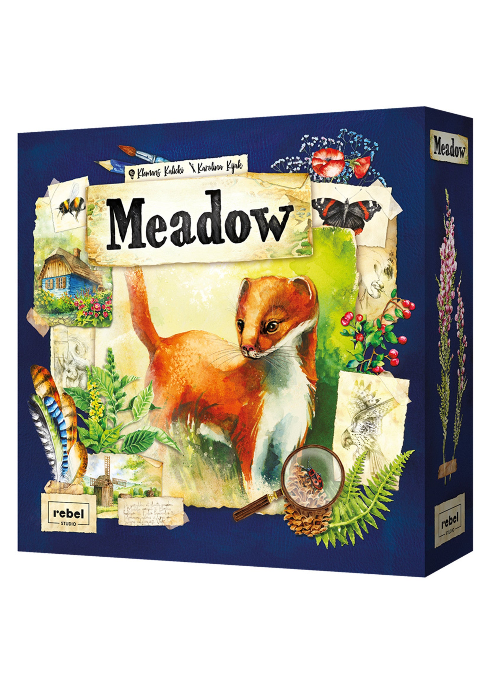 Meadow