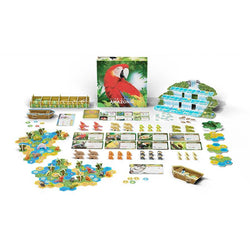 Life Of The Amazonia
