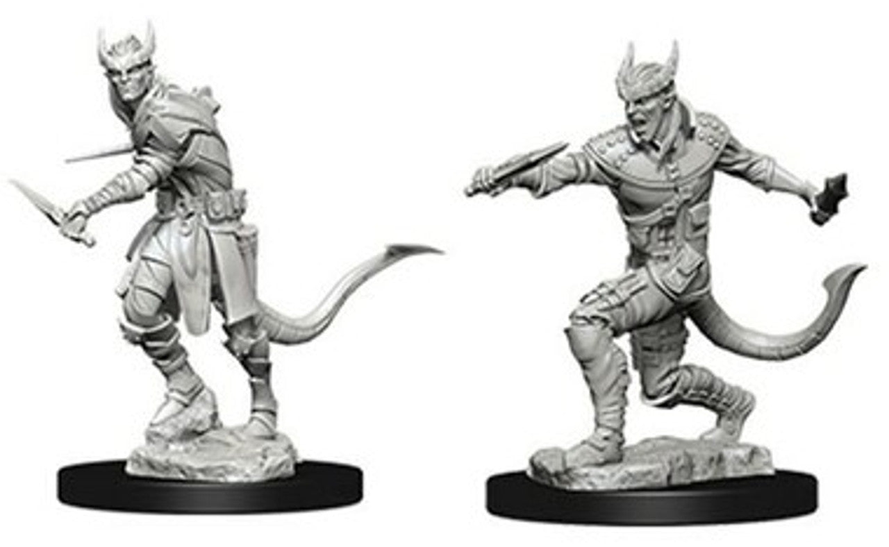 D&D Nolzur's Marvelous Miniatures: Male Tiefling Rogue