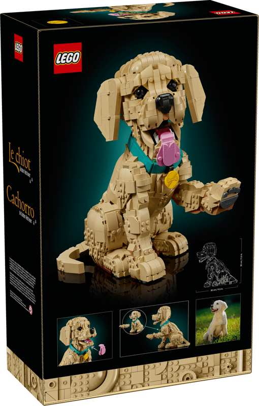Lego: Icons - Golden Retriever