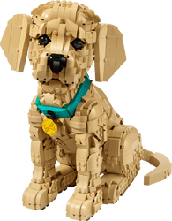 Lego: Icons - Golden Retriever
