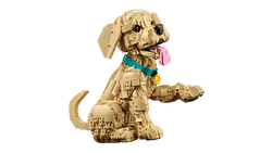 Lego: Icons - Golden Retriever