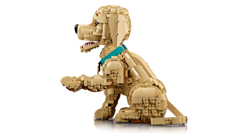 Lego: Icons - Golden Retriever
