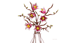 Lego: Botanicals - Magnolia Branches