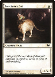 Sanctuary Cat [Dark Ascension]