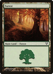 Forest (243) [Avacyn Restored]