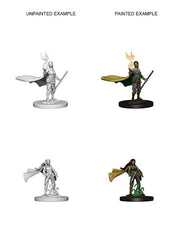 D&D Nolzur's Marvelous Miniatures: Female Elf Druid