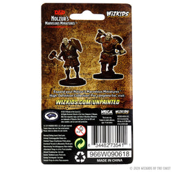 D&D Nolzur's Marvelous Miniatures: Male Goliath Fighter (Wave 7)
