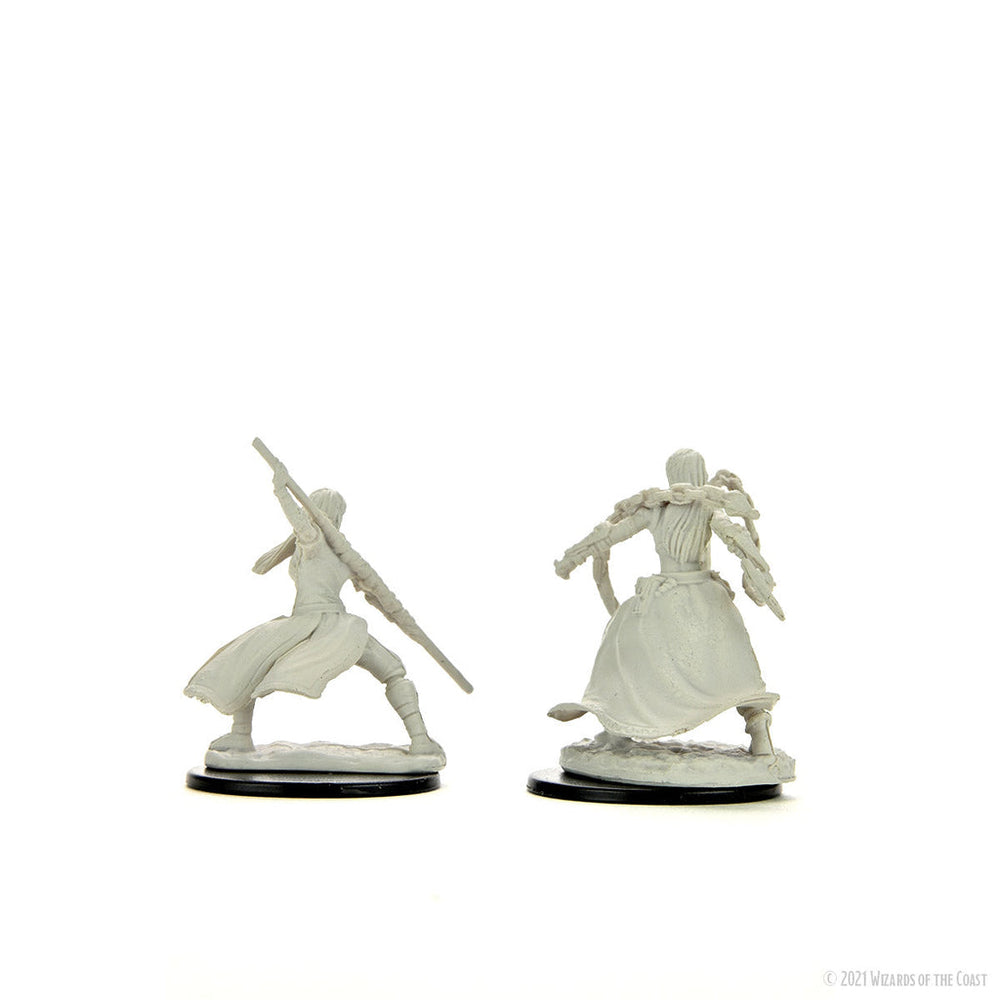 D&D Nolzur's Marvelous Miniatures: Human Monk Female