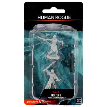 D&D Nolzur's Marvelous Miniatures: Human Rogue Female