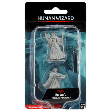 D&D Nolzur's Marvelous Miniatures: Human Wizard Female