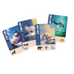 Borealis: Arctic Expeditions