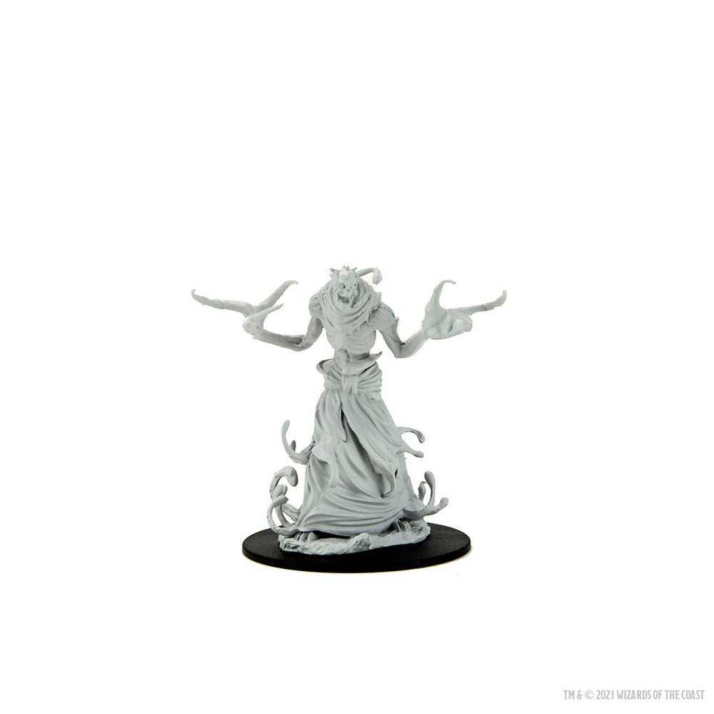 D&D Nolzur's Marvelous Miniatures: Paint Night Kit Death Boneclaw