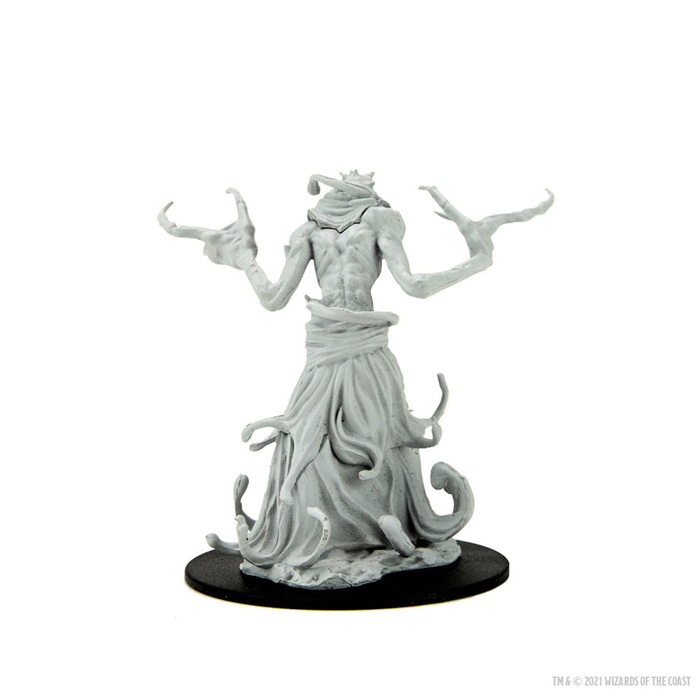 D&D Nolzur's Marvelous Miniatures: Paint Night Kit Death Boneclaw