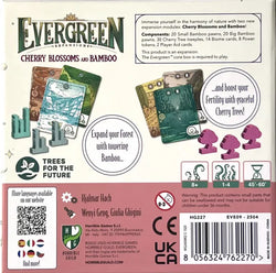 Evergreen - Cherry Blossoms and Bamboo