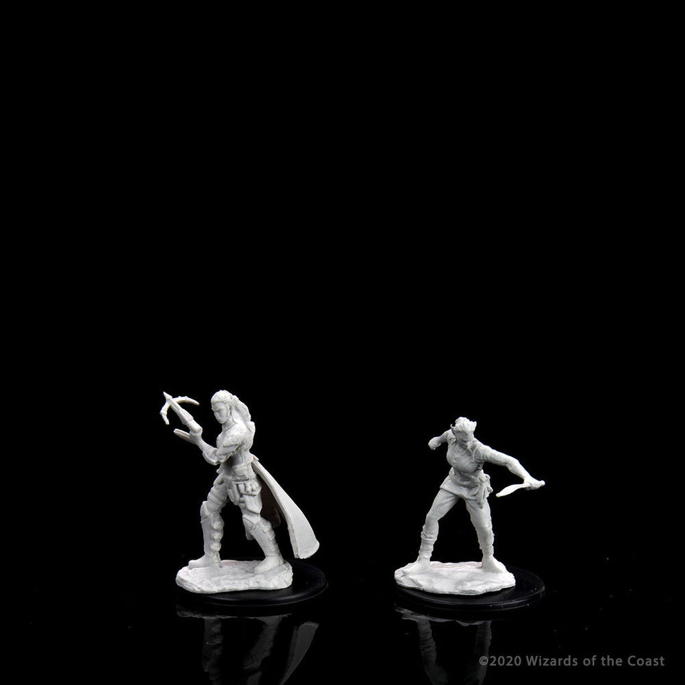 D&D Nolzur's Marvelous Miniatures: Shifter Rogue Female (Wave 13)