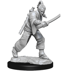 D&D Nolzur's Marvelous Miniatures: Male Human Monk