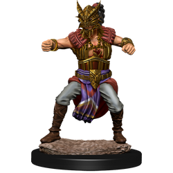 D&D Nolzur's Marvelous Miniatures: Male Human Monk