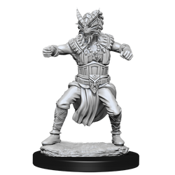 D&D Nolzur's Marvelous Miniatures: Male Human Monk