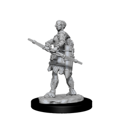 D&D Nolzur's Marvelous Miniatures: Human Ranger Female