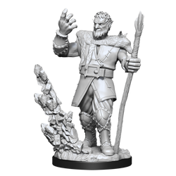 D&D Nolzur's Marvelous Miniatures: Male Firbolg Druid (Wave 11)