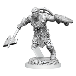 D&D Nolzur's Marvelous Miniatures: Earth Genasi Fighter