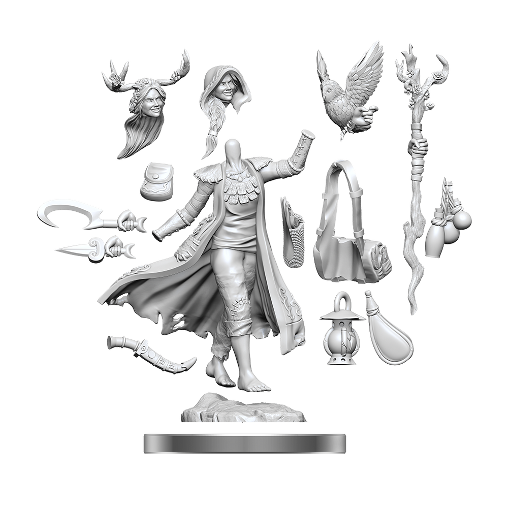 D&D Frameworks: Human Druid Female