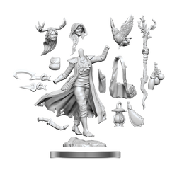 D&D Frameworks: Human Druid Female
